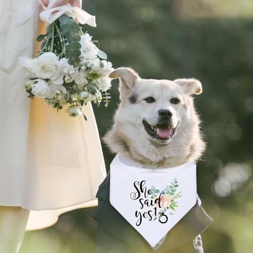 Zmupl Hundehalstuch, weiß, Bandana, Hochzeit, Party, Verlobung, Hundeaccessoire, Polyester, M, Sommer