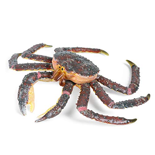 HOMNIVE ̒u A vX`bN ^oKj ȊwvWFNg ߋ̊wK av[g q̂߂̃P[Lgbp[