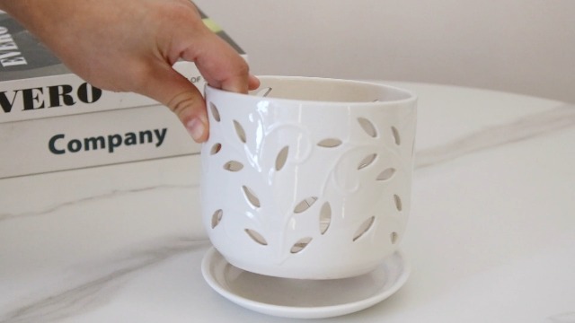 Watch 5 6Inch Orchid Pot with Holes on Amazon Live
