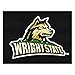 FANMATS 698 Wright State Raiders Basketball Shaped Rug - 27in. Diameter, Basketball Design, Sports Fan Accent Rug