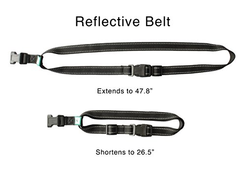 Dog Running Leash For Two Dogs, Dog Waist Leash, Dog Belt Leash, Hands Free Dog Leash 2 Dogs, Dog Leash With Reflector, Best Accessories For Dog Training & Behavior Aids By Caldwell Pet's Supply #TOP3