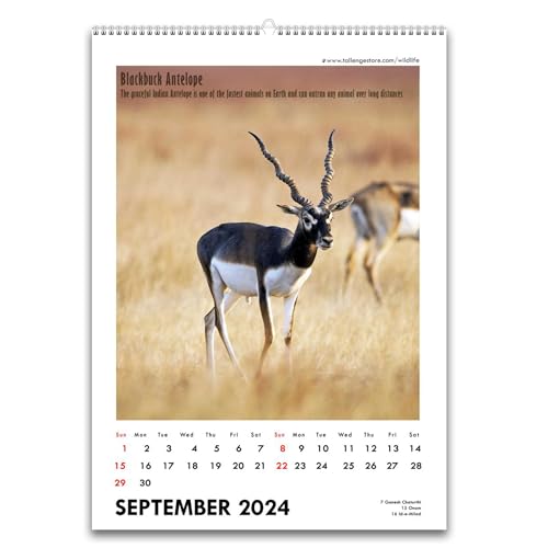 Image of Tallenge - Wild - 2026 Desk Calendar - 6 x 9 Inches for Home & Office (Paper, Desk Calendar)