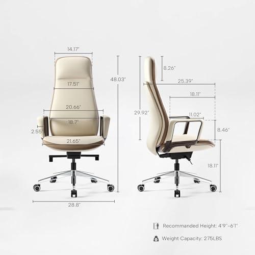 Image of EUREKA ERGONOMIC Alto Leather Desk Chair, Silicone Leather Office Chair with Wheels, High Back Office Chair, Executive Office Chair Comfy for Home & Office, Off-White