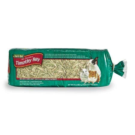 FORTI DIET Timothy HAY RBT GN PG & CHNC TRT PET Feed 24 OZ - 0071859949181
