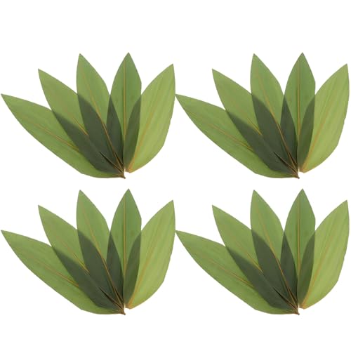 HYTROVE 100 t hg iptFCN[t pt aHfBbVo aXgiM