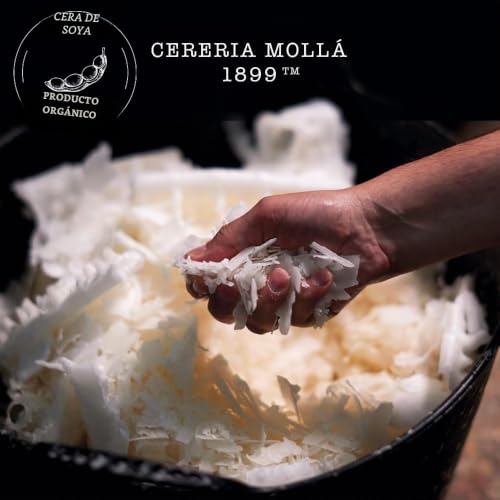 Miniatura 6 de Cerería Molla 1899 Vela Premium Fig Citrus Aromática De 230g 50 Horas De Duración Fragancias Naturales Envases Reciclables Artesanal