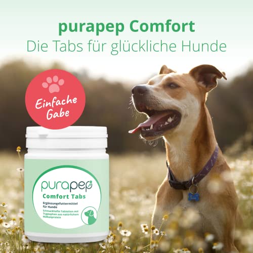 purapep Comfort Hunde Tabs – Natürliches Beruhigungsmittel mit Tryptophan, Magnesium & B Vitaminen – Ideal bei Stress, Angst & Silvester – Für entspannte Hunde in jeder Situation | 120 Tabs