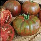 Pink Berkeley Tie Dye Tomato Seeds (95 Seeds) Seeds for Planting, Farm, Growing in Garden, Greenhouse, Vegetable, Fruit