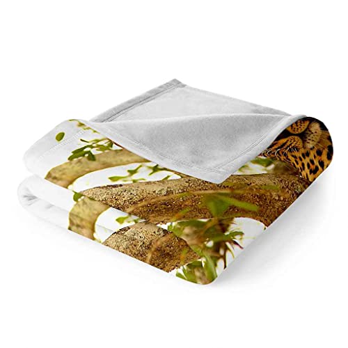 Couverture polaire chaude en microfibre 150x200cm entretien facile à la machine