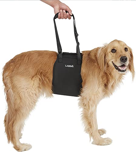 Labra Veterinarian Approved Dog Canine K9 Sling Lift Adjustable Straps Support Harness Helps with Loss of Stability Caused by Joint Injuries and Arthritis ACL Rehabilitation Rehab