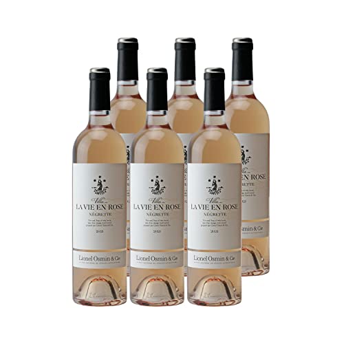 Villa La Vie en Rose Rosé 2021 Cover