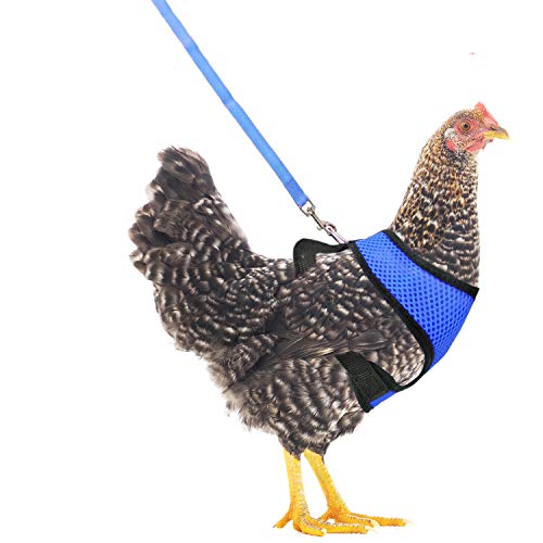 YUEPET Adjustable Chicken Harness with Leash Elastic Comfortable Breathable Pet Harness for Duck Goose Hen Traning Walking Cover