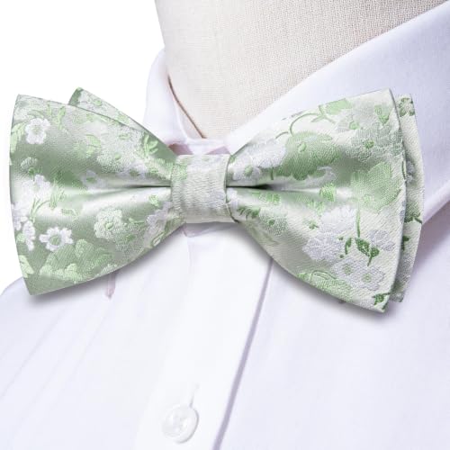 Image of Dubulle Mens Paisley Striped Bowtie Set Pre-tied Bowtie for Men and Pocket Square Set Wedding Business