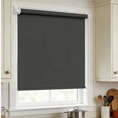 Estor Enrollable Opaco 92 x 100 cm con Cadena, Persianas Enrollable para Fijación sin Taladrar con Clip, Protección Visual Cortinas Opacas Estores para Puertas y Ventanas, Gris Oscuro