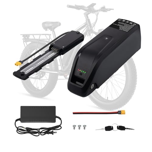 Image of Ebike Battery 36V, 20Ah Lithium Pack with BMS for 0-1500W Motor, Indicator Light, Safe Lock, USB Port, XT60 Plug 5pin Replacement Battery