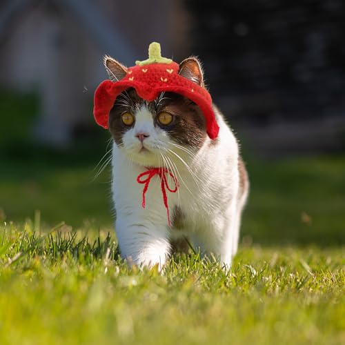 Piriuuo Strawberry Cat Hat, Cotton & Soft Cute Knitted Hats for Cats Birthday Party Christmas Puppy Hat for Small Pets (Red, M)