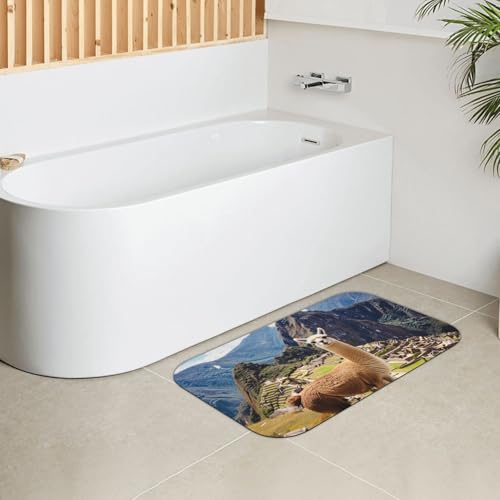 Tapis de bain absorbant diatomées antidérapant douche 30x50 - 5