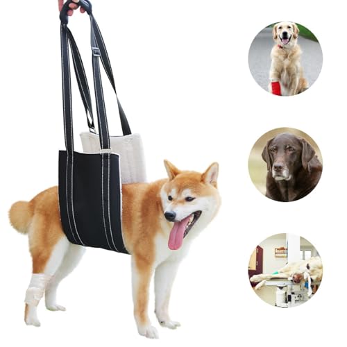 Ganzkörper Tragehilfe, Treppenhilfe, Dog Carrier Hundetrage, Tragegurt, Verstellbarer Hunde Tragehilfe, Hebegeschirr für Hunde mit Bewegungsproblemen