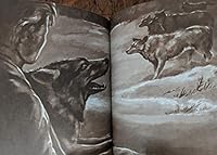 Ruff the Wolf 0201407078 Book Cover