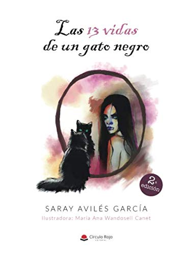 Las 13 vidas de un gato negro