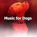 Man's Best Friend Records