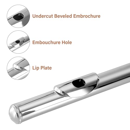 Image of Cecilio Closed Hole C Flute - Musical Instrument, Beginner /Intermediate Flute in Band & Orchestra, Nickel
