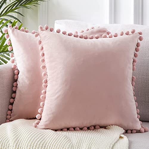 El Mejor Listado de Fundas decorativas para almohada los más recomendados. 43 Hisemy 2 Piezas Funda de Almohada de Terciopelo,Fundas para Cojines(45 * 45),Suave, Cómodo y Lavable a Máquina,no se Desvanece(Rosado)