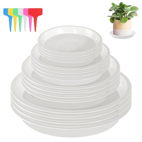 16 Pièces Coupelle Pot de Fleur Soucoupe Pot Fleur Plastique Soucoupes Pots de Fleurs avec 18 Étiquettes Sous Pot de Fleur Rond Dessous de Verre pour Plantes...