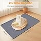 Kalolary Extra Große Katzenstreu Matte – Katzennapf Silikon Streumatte zur Streu-Kontrolle, weich für Katzenpfoten, wasserdicht & leicht zu reinigen (Grau, 130 x 65 cm)