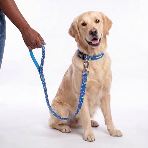 Image of Wag and Wilder Heavy Duty 5 FT Dog Leash for Large Dogs - Neoprene Padded Handle & Strong Metal Hook (Groovy Trails Blue)