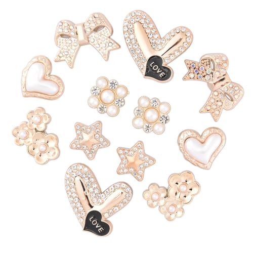 Breloques en strass pour chaussures et sabots : accessoires acrylique motif fleur