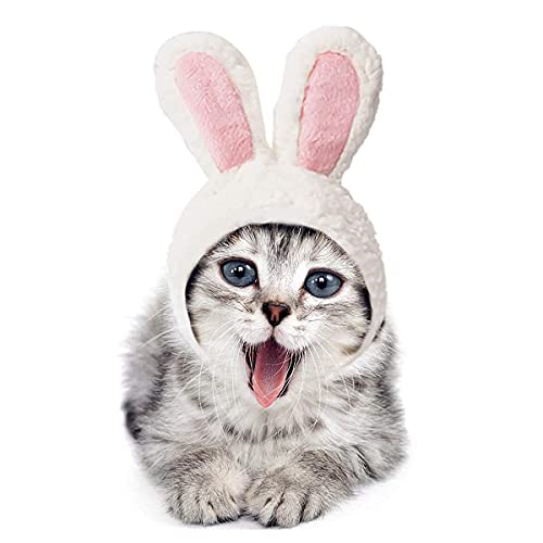 Osterkostüm für Katzen, lustiges Katzenoutfit, einstellbare Größe, Häschenkostüm für Katzen und Welpen, Hasenohren für Oster-Cosplay