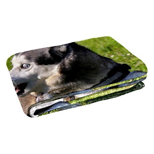 Jeté de lit Husky contre le froid pour canapé, camping et plage