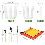 Zoom IMG-1 vepepe set di 35 vasi Zoom IMG-1 vepepe set di 35 vasi