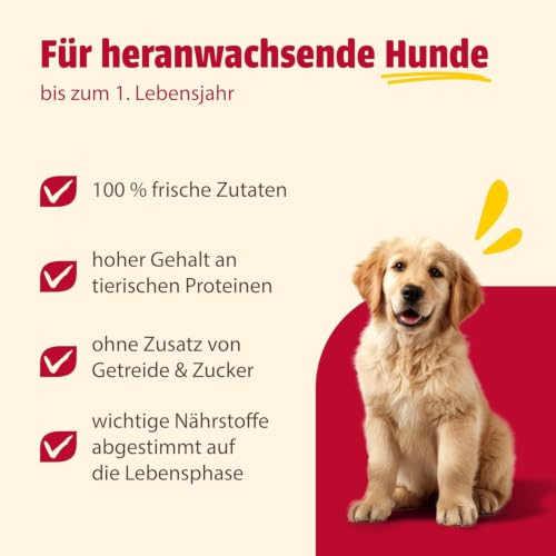 animonda GranCarno Junior Hundefutter nass mit Pute (6x800g)