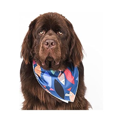 Kendall Wags Nautisches Hundehalstuch Cover