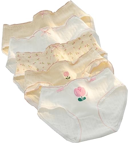 5 Packs Schoolgirl Women Teen Girls Cotton Brief Japanese Strawberry Lolita Panties Underwear Panty Set (Small)