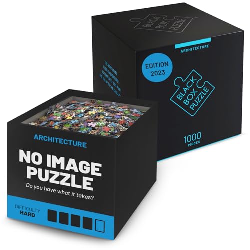 Black Box Puzzle Without a Picture