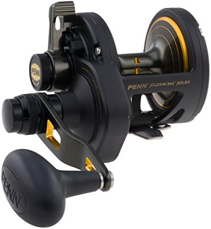 Penn 1292933 Fathom 30 Lever 2-Speed Lever Drag Fishing Reel, Black Gold