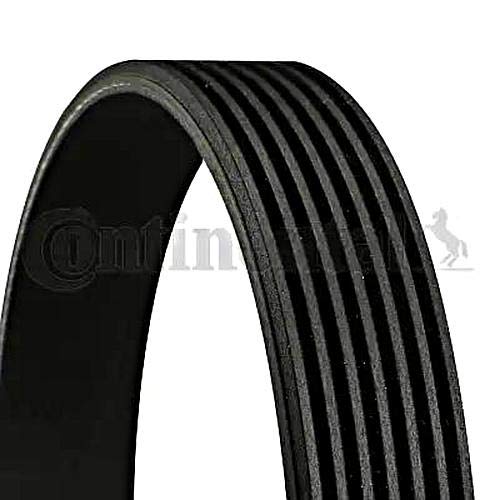 CONTITECH 7PK2315 V-Ribbed Belt