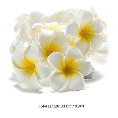 Andoer 20 LEDs 9,84 pés de luz de corda em forma de flor piscando luzes de fada branco quente luzes