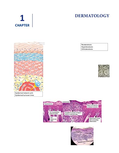 Image of BTR BY ZAINAB VORA (UNFILLED-BLANK) cerebellum acadamy by zainab vora fully coloured (workbook) (spiral-binding)(SS PRINTING HUB)