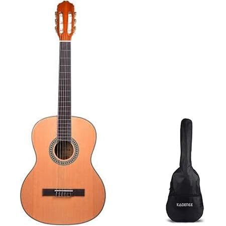nylon string guitar