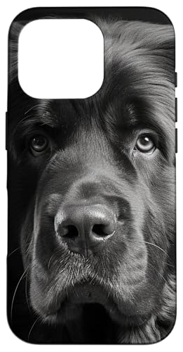 Dog Lover ubN&zCg j[t@hh X}zP[X iPhone 16 Pro p