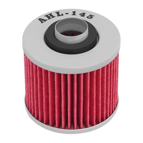 Filtre à huile anti-impuretés pour corriger la lubrification des XT660
