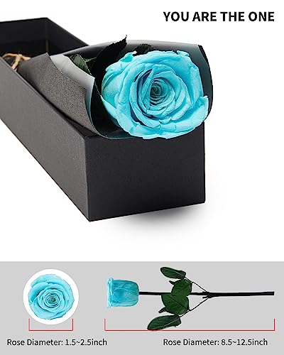 Image of Sky Blue Flowers for Delivery Prime, Preserved Blue Roses Flower Gifts for Women, Real Roses Single Rose Gifts for Her, Mom Birthday Gifts from Daughter, Valentines Flowers