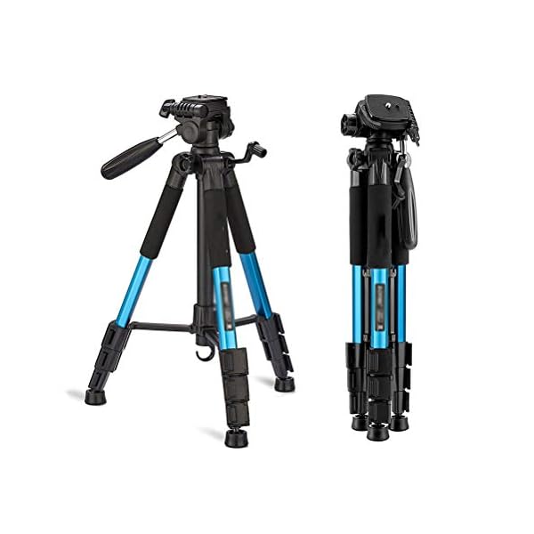N / A Leichtes Stativ Kamera Stativ aus Aluminium Reisestativ Fotostativ Mit Schnellwechselplatte Einstellgriff (Blau…