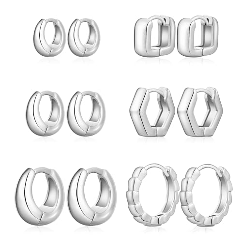 Wgoud Small Gold Hoop Earrings Set for Women, 6 Pairs 14K Gold Plated Hypoallergenic Lightweight Huggie Hoops Earrings, Trendy Cartilage Cubic Zirconia Earrings for Women Gifts. (03Silver)