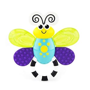 Sassy Flutterby Teether – Water-Filled Teether Soothes Gums – Variety of Textures Massage Gums – For Ages 3 Months and Up
