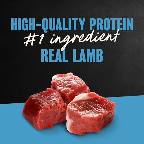 Image of Cesar Classic Loaf in Sauce Wet Dog Food, Lamb Recipe, 3.5 oz, 24 Count | Made in USA, Real lamb #1 ingredient, no fillers, no added sugar, no artificial flavors, slow-cooked, easy peel trays